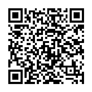网上关于这一次苏紫萱演唱会的各种消息已经满天飞了二维码生成