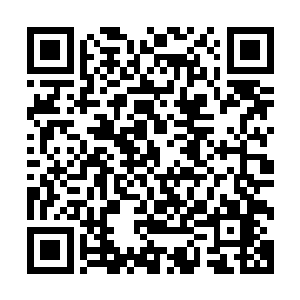 网上突然爆出的一波十几张王靖露和廖辽手拉手逛商场的照片二维码生成