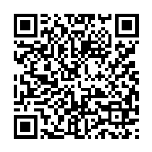 网内的永夜战士一个个身上都泛着异样的暗红光芒二维码生成