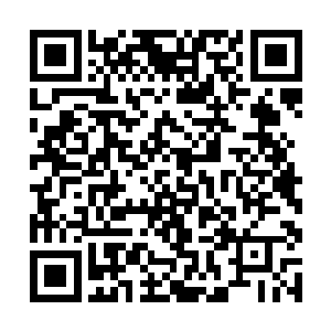网站内部关于杀手们的真实资料信息都是绝对保密的二维码生成