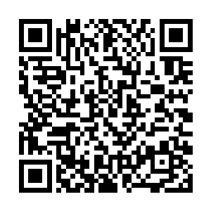 网络上各种媒体指数基本都是同期少儿剧中最厉害的二维码生成