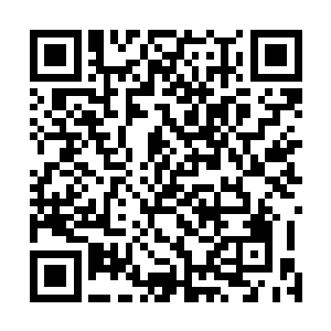 网络上天天都在帮王世子吹嘘星空科技的利润有多少多少二维码生成