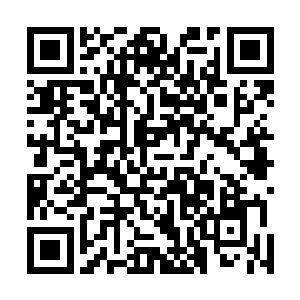 网络上此时也因为锦城花报的一系列报道给搞的沸沸扬扬二维码生成