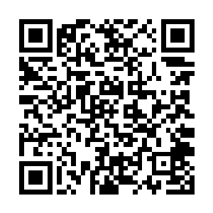 网络上现在到处都是攻击李谦和对您表达迷恋的帖子二维码生成