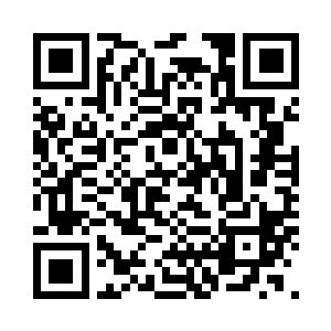 网络公司会帮助我们进行人员培训的二维码生成