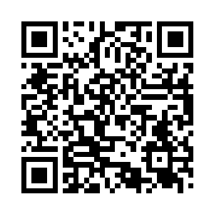 网络成为了华纳兄弟和公爵工作室的重要阵地二维码生成