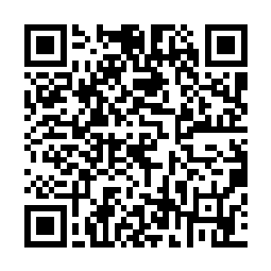 网络版预告片在即时分享首发当日创下了780万的惊人访问量二维码生成