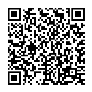 网络部门的大多数人认为林光山完全失去了对任何事物的感觉判断二维码生成