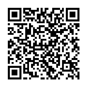 罗伯托・卡洛斯在这两场比赛中都是对位防守荣的球员二维码生成