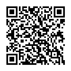 罗伯托・卡洛斯躺在地上看着伯纳乌上方的夜空二维码生成