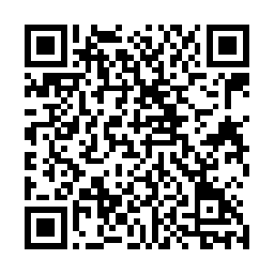 罗伯特先嘱咐防暴队副队长罗斯带人将游行人群和秦洛分开二维码生成