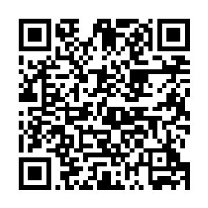 罗伯特和她也是一样的心态――倒不是说他们都特别亲近二维码生成