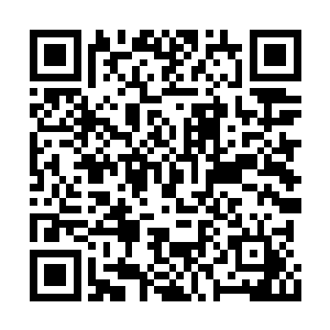 罗伯特更不可能接受这个罗伊色彩浓厚的ceo上位二维码生成