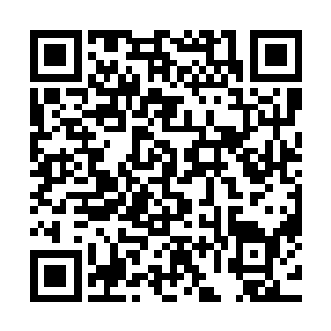 罗伯特正在指责的也正是这一点――如果不是从各种逻辑推断二维码生成