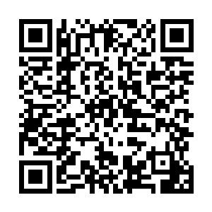 罗伯特的这一招――这一招简直绝到她无法做出任何评论二维码生成