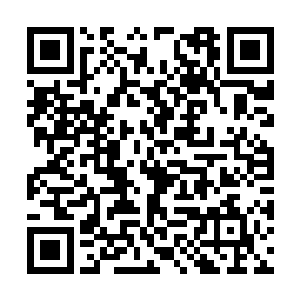 罗剑清从半山腰转身朝着林烽先前居住的院子去了二维码生成