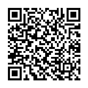 罗威兄弟两个可是把洛氏的基层员工得罪了个彻底二维码生成