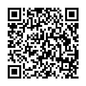 罗家将所有的关于培育奇花的书籍都保存了下来二维码生成