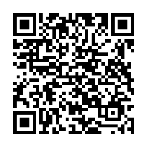 罗宾川告诉我不要报警的时候他们一点反应都没有二维码生成