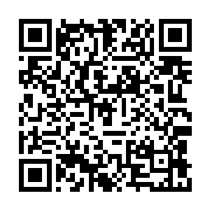 罗宾的交际水平和察言观色的能力都是十分出色二维码生成