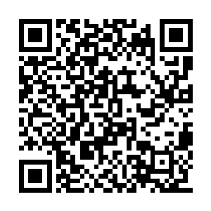 罗小柔和姜孚勇站在一起时的样子娇羞而又欣喜二维码生成