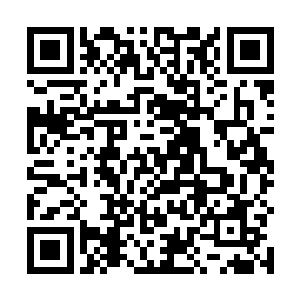 罗布身为主官在风沙之后去看看草势是理所当然的事情二维码生成