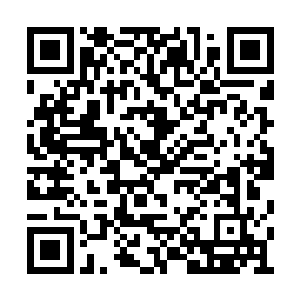 罗建和卡迪云三人的手臂都被长阳翔天给斩断了二维码生成