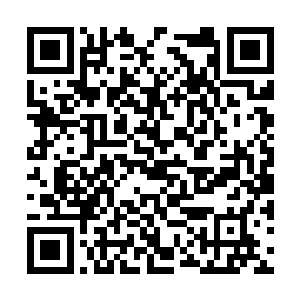 罗建顿时被长阳虎后面那句话给气的说不出话来了二维码生成