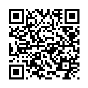 罗德手机将会第一次放出一百万部二维码生成