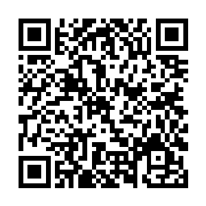 罗思塞元帅和纳什基尔大人也是从这时候前来探病的二维码生成