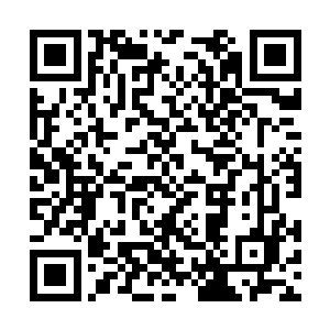 罗斯克里夫家族的其他人肯定会遭到兰尼特报复的二维码生成