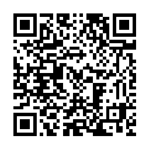 罗斯克里夫家族的另一个儿子兰尼特被紧急召唤到了圣巴多戈岛二维码生成