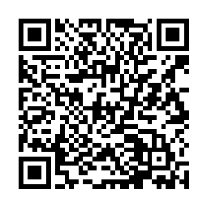 罗林从这张让他魂牵梦萦的如玉面庞上发现了一丝怒意二维码生成