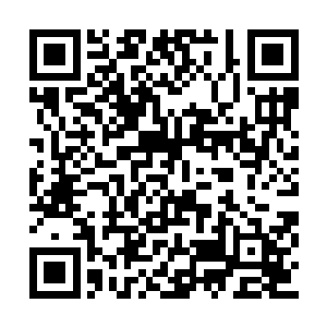 罗林更加清晰直观地感受到了茉莉身体内的情况二维码生成