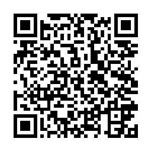 罗林特意准备了用于攀岩的铁爪钢扣还有粗大的麻绳二维码生成