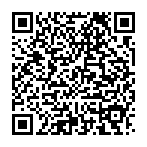 罗林的钢盾化身站在海洋女神安菲修雅本体所在堡垒的外围一动不动二维码生成