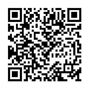 罗森伯格导演这是在用美好回忆彰显人性的光辉二维码生成