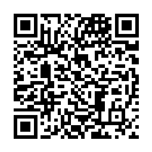 罗森伯格很好的把握住了每场动作戏份的火候和分寸二维码生成