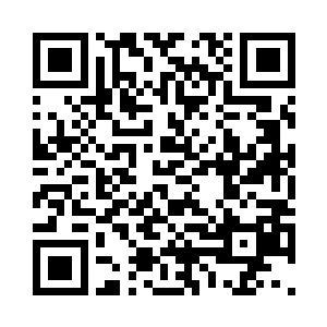 罗楼淡淡瞥了一眼满目疮痍的阿里城二维码生成