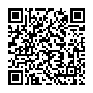 罗正初不知叶星想请的护送者是天罡宗的六星真人二维码生成