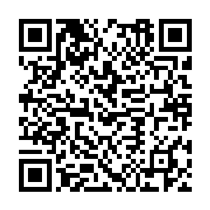 罗炫还真的就没有想到自己能够赶上这样的好机会二维码生成