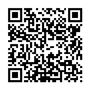 罗生堂和莫秋声在得知千年血参的拥有者是云起舞之后二维码生成