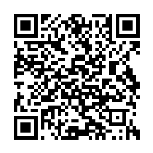 罗盘仙人明明可以轻松的拦下楚枫与那神秘高手二维码生成