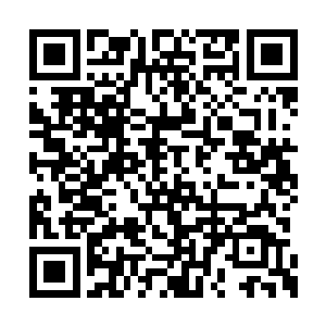 罗神转化为丧尸后将所有的基因都充分发挥出来二维码生成