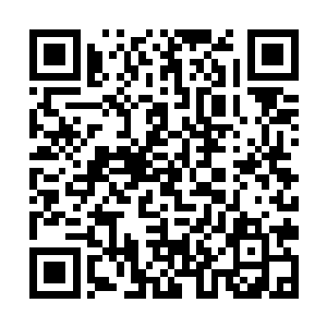 罗罗亚已经发动不少邻居和自己一起做花绿菜生意了二维码生成