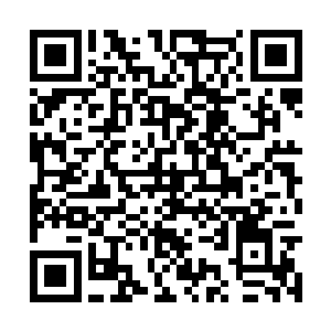 罗虎三兄妹还是小心翼翼的朝小峡谷内潜行了进去二维码生成