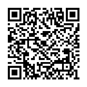 羊皮纸直接砸在了其中一名上位大学士的脑袋上二维码生成