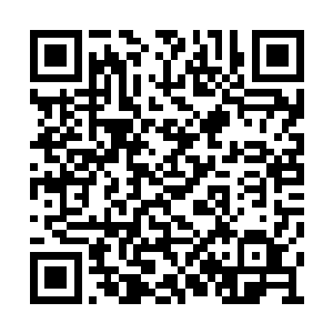 羊羽天斩杀仙羽门太上长老天长姬一事早已传开二维码生成