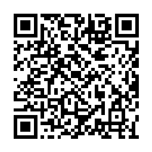 羊铁也带着羊家的一众人马火速的来到了真剑阁二维码生成
