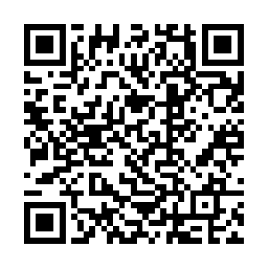 羊铁那凄厉的惨叫声便将周围的行人纷纷吸引了过来二维码生成